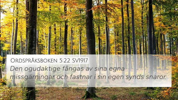 Ordspråksboken 5:22 SV1917 Bible Verse Image