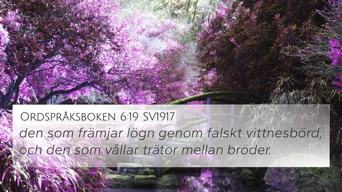 Ordspråksboken 6:19 SV1917 Bible Verse Image