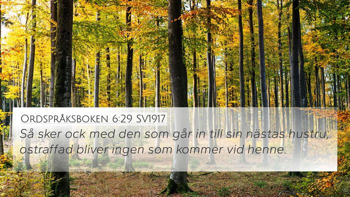 Ordspråksboken 6:29 SV1917 Bible Verse Image