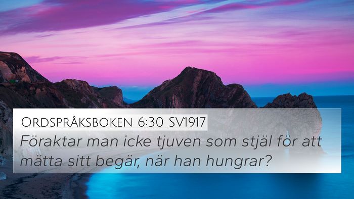 Ordspråksboken 6:30 SV1917 Bible Verse Image
