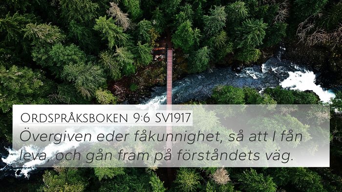 Ordspråksboken 9:6 SV1917 Bible Verse Image