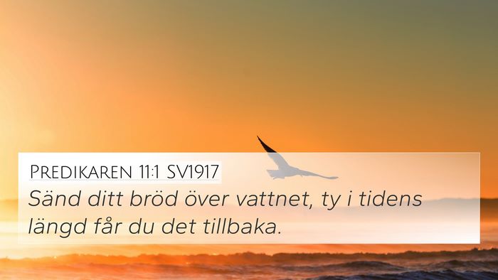 Predikaren 11:1 SV1917 Bible Verse Image