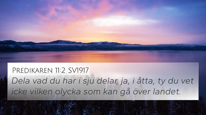 Predikaren 11:2 SV1917 Bible Verse Image