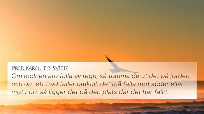 Predikaren 11:3 SV1917 4K Wallpaper - Om molnen äro fulla av regn, så tömma de ut - 4K Wallpaper Bible Verse