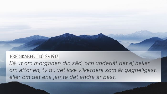 Predikaren 11:6 SV1917 Bible Verse Image