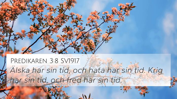 Predikaren 3:8 SV1917 4K Wallpaper - Älska har sin tid, och hata har sin tid. Krig - 4K Wallpaper Bible Verse