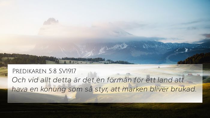 Predikaren 5:8 SV1917 Bible Verse Image