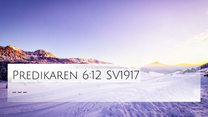 Predikaren 6:12 SV1917 Bible Verse Image