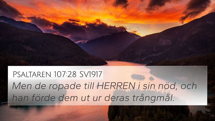 Psaltaren 107:28 SV1917 Bible Verse Image