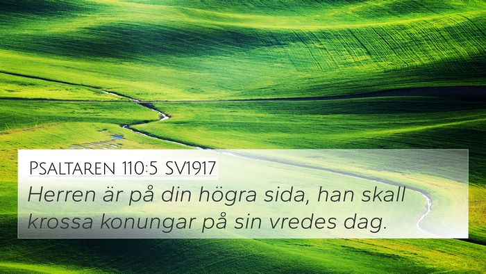 Psaltaren 110:5 SV1917 Bible Verse Image