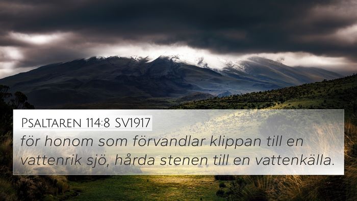 Psaltaren 114:8 SV1917 4K Wallpaper - för honom som förvandlar klippan till en - 4K Wallpaper Bible Verse