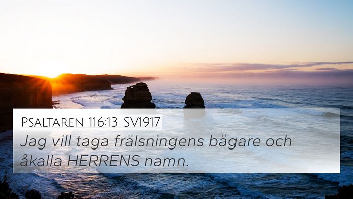 Psaltaren 116:13 SV1917 Bible Verse Image
