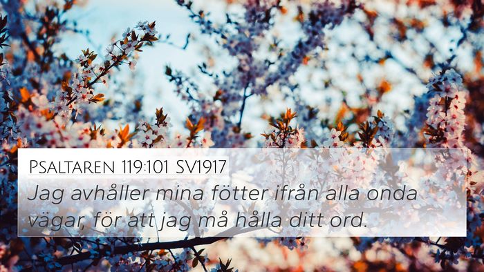 Psaltaren 119:101 SV1917 Bible Verse Image