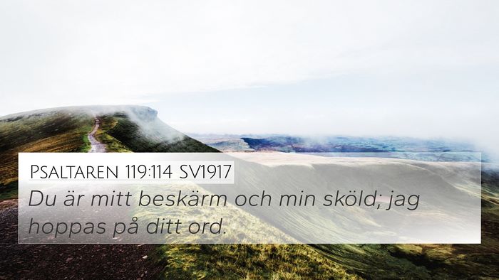Psaltaren 119:114 SV1917 Bible Verse Image