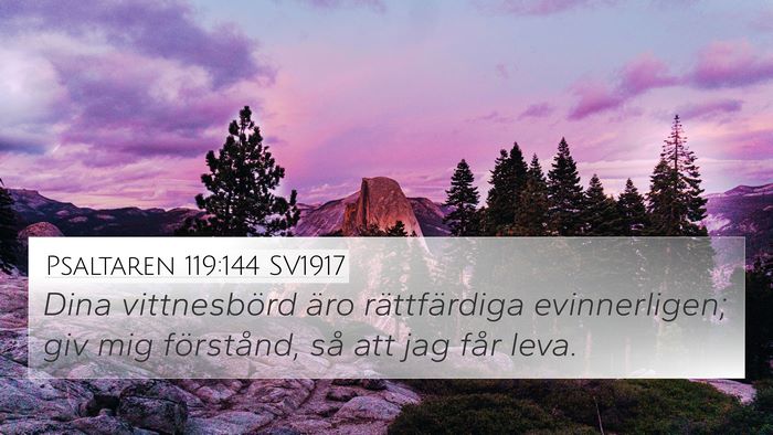 Psaltaren 119:144 SV1917 4K Wallpaper - Dina vittnesbörd äro rättfärdiga - 4K Wallpaper Bible Verse