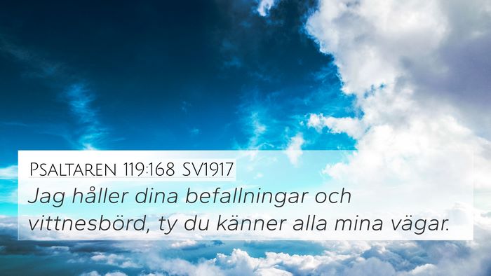 Psaltaren 119:168 SV1917 Bible Verse Image