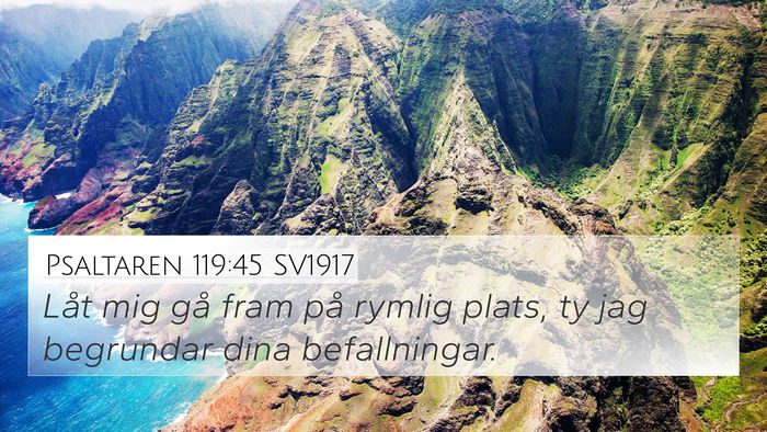 Psaltaren 119:45 SV1917 4K Wallpaper - Låt mig gå fram på rymlig plats, ty jag - 4K Wallpaper Bible Verse