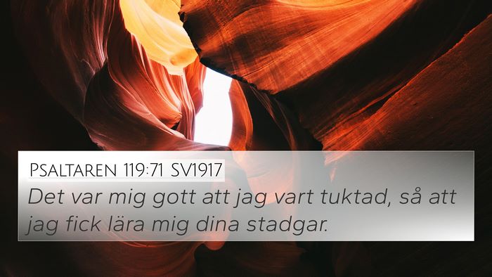 Psaltaren 119:71 SV1917 Bible Verse Image