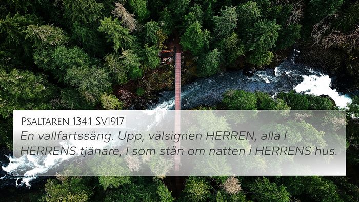 Psaltaren 134:1 SV1917 Bible Verse Image