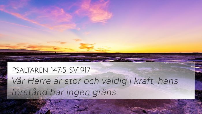 Psaltaren 147:5 SV1917 Bible Verse Image