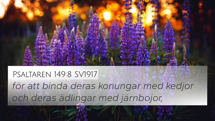 Psaltaren 149:8 SV1917 Bible Verse Image