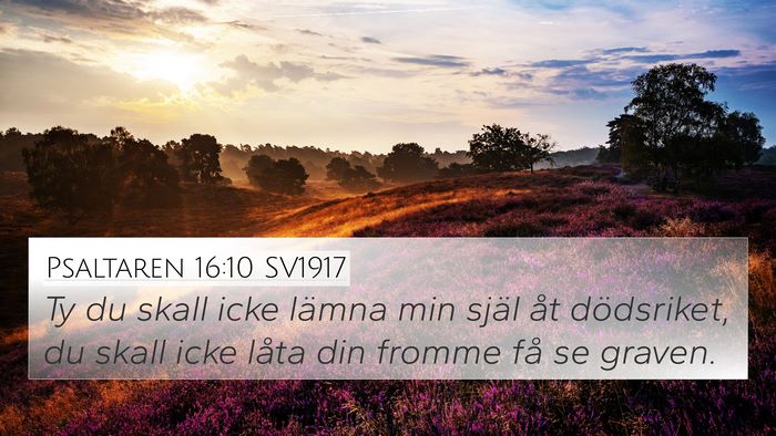 Psaltaren 16:10 SV1917 Bible Verse Image