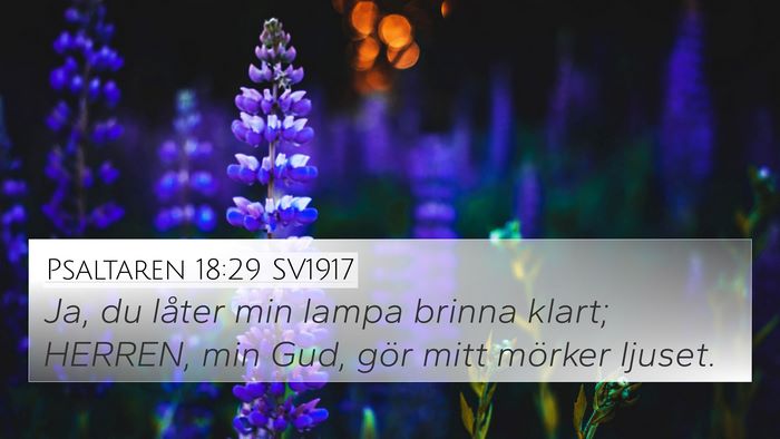 Psaltaren 18:29 SV1917 Bible Verse Image