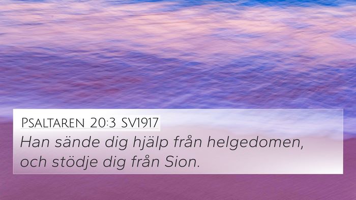 Psaltaren 20:3 SV1917 Bible Verse Image