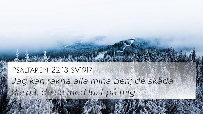 Psaltaren 22:18 SV1917 Bible Verse Image
