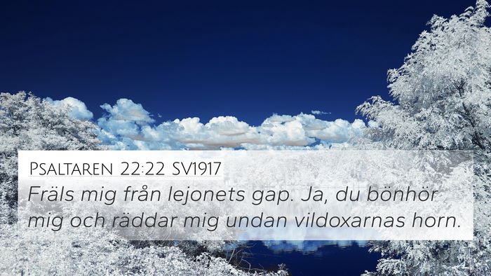 Psaltaren 22:22 SV1917 Bible Verse Image