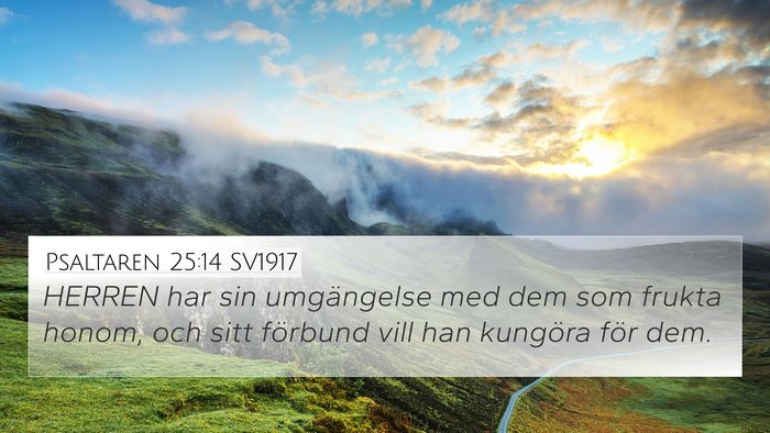 Psaltaren 25:14 SV1917 Bible Verse Image