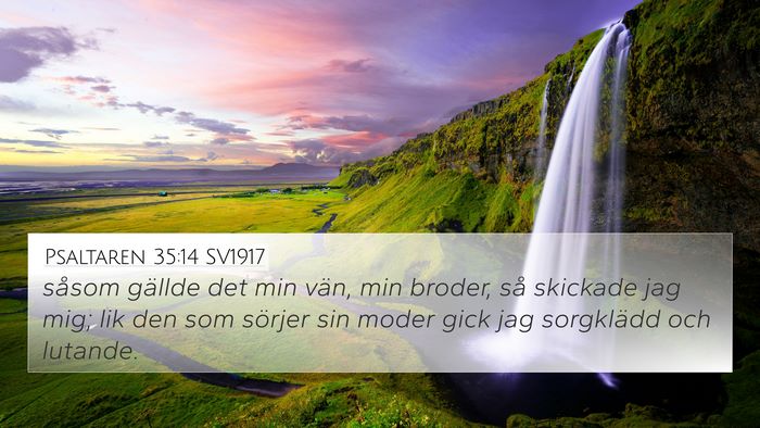 Psaltaren 35:14 SV1917 Bible Verse Image