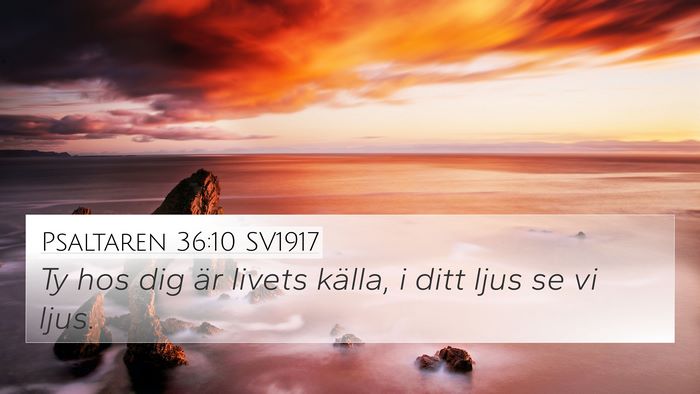 Psaltaren 36:10 SV1917 4K Wallpaper - Ty hos dig är livets källa, i ditt ljus se vi - 4K Wallpaper Bible Verse