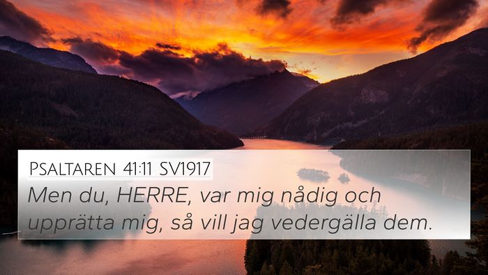 Psaltaren 41:11 SV1917 Bible Verse Image