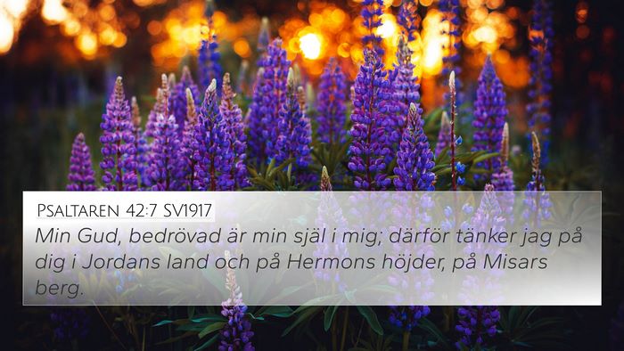Psaltaren 42:7 SV1917 Bible Verse Image