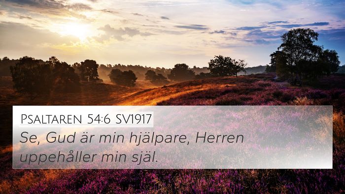 Psaltaren 54:6 SV1917 Bible Verse Image