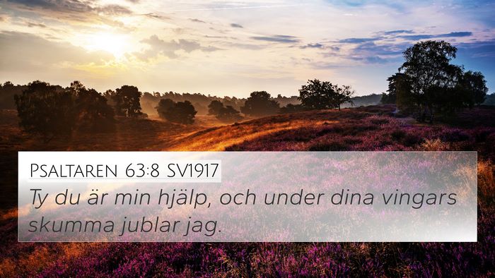 Psaltaren 63:8 SV1917 Bible Verse Image