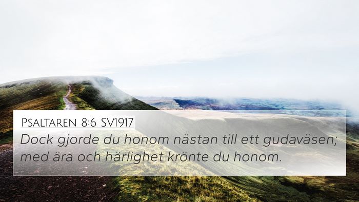 Psaltaren 8:6 SV1917 Bible Verse Image