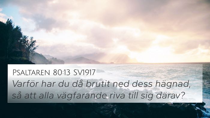 Psaltaren 80:13 SV1917 Bible Verse Image
