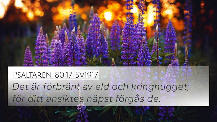 Psaltaren 80:17 SV1917 Bible Verse Image
