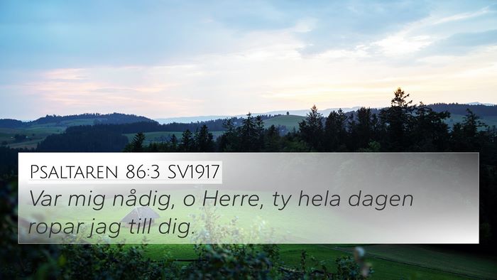 Psaltaren 86:3 SV1917 Bible Verse Image