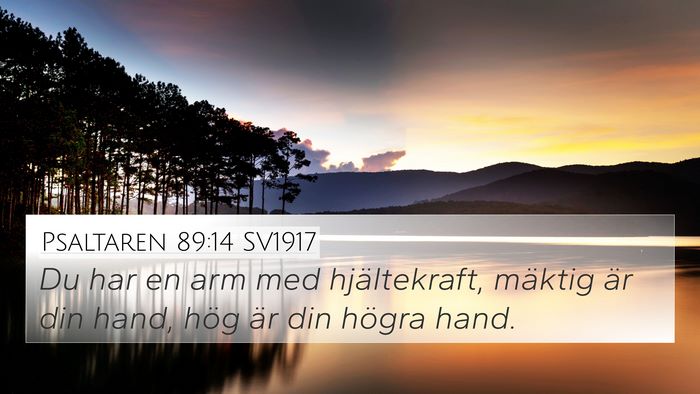 Psaltaren 89:14 SV1917 Bible Verse Image