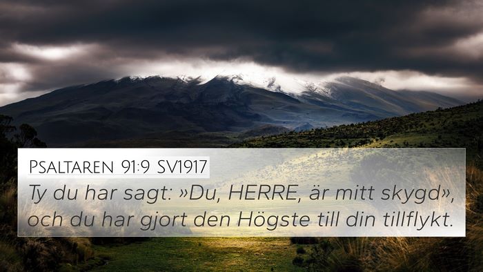 Psaltaren 91:9 SV1917 Bible Verse Image