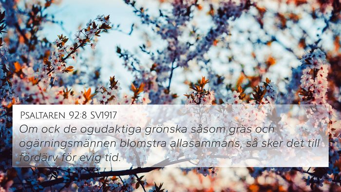 Psaltaren 92:8 SV1917 Bible Verse Image
