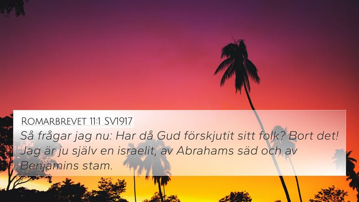 Romarbrevet 11:1 SV1917 Bible Verse Image