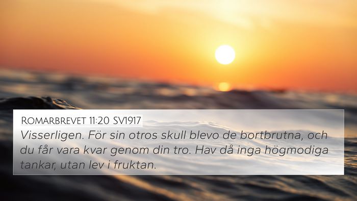 Romarbrevet 11:20 SV1917 Bible Verse Image
