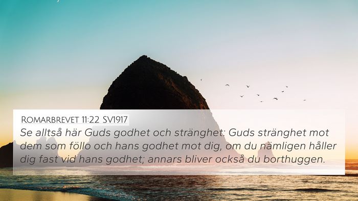 Romarbrevet 11:22 SV1917 Bible Verse Image