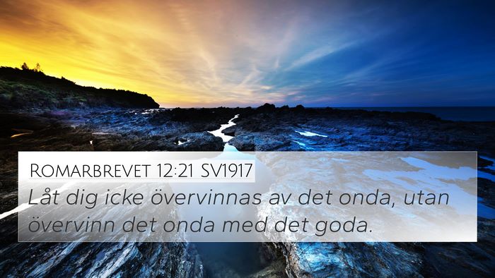 Romarbrevet 12:21 SV1917 Bible Verse Image