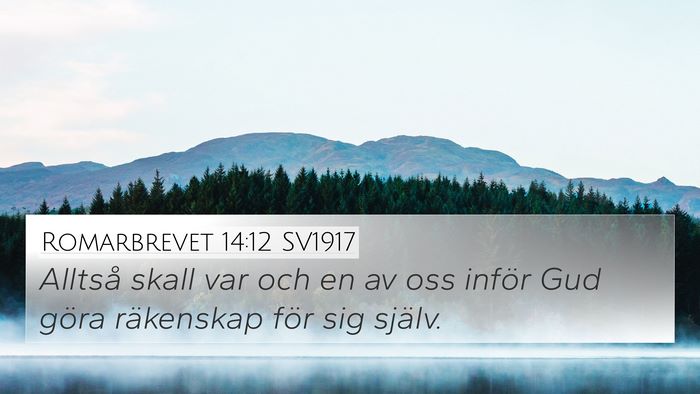 Romarbrevet 14:12 SV1917 Bible Verse Image