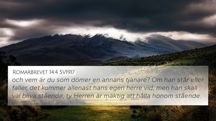 Romarbrevet 14:4 SV1917 Bible Verse Image